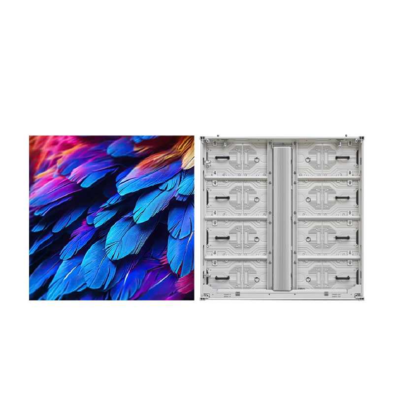 FS-800x800